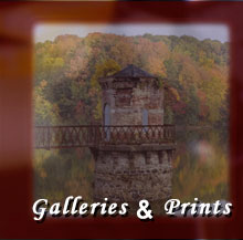 Galleries and Prints